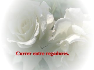 Correr entre regadores.   