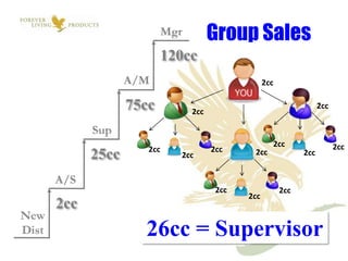 Group Sales
                    120cc
                                           2cc

             75cc       2cc
                                                             2cc



                                             2cc                   2cc
                2cc           2cc
      25cc            2cc             2cc              2cc



                               2cc               2cc
                                     2cc
2cc
               26cc = Supervisor
 