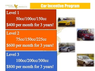 Car Incentive Program
 