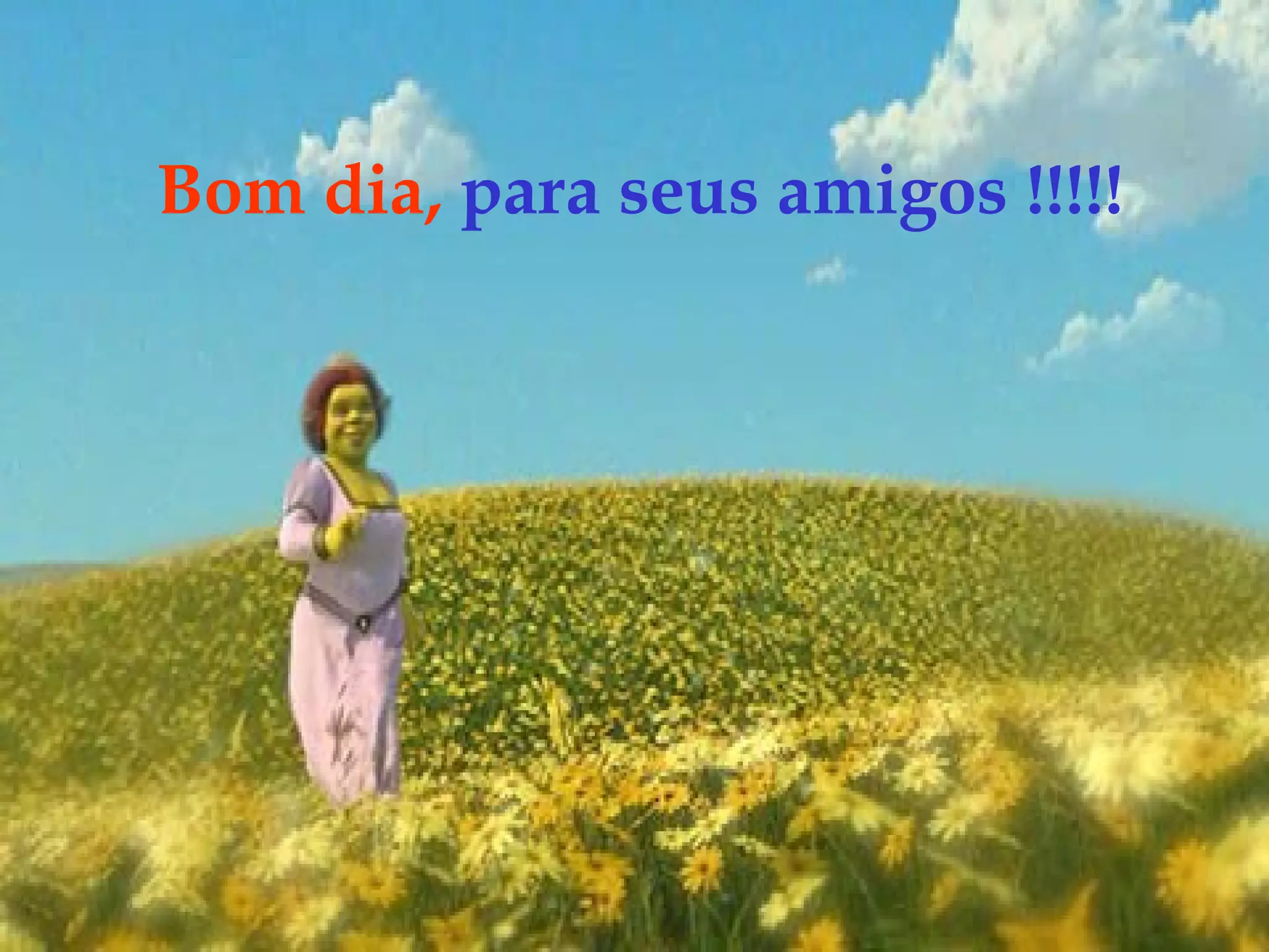 Bom dia, para seus amigos !!!!!