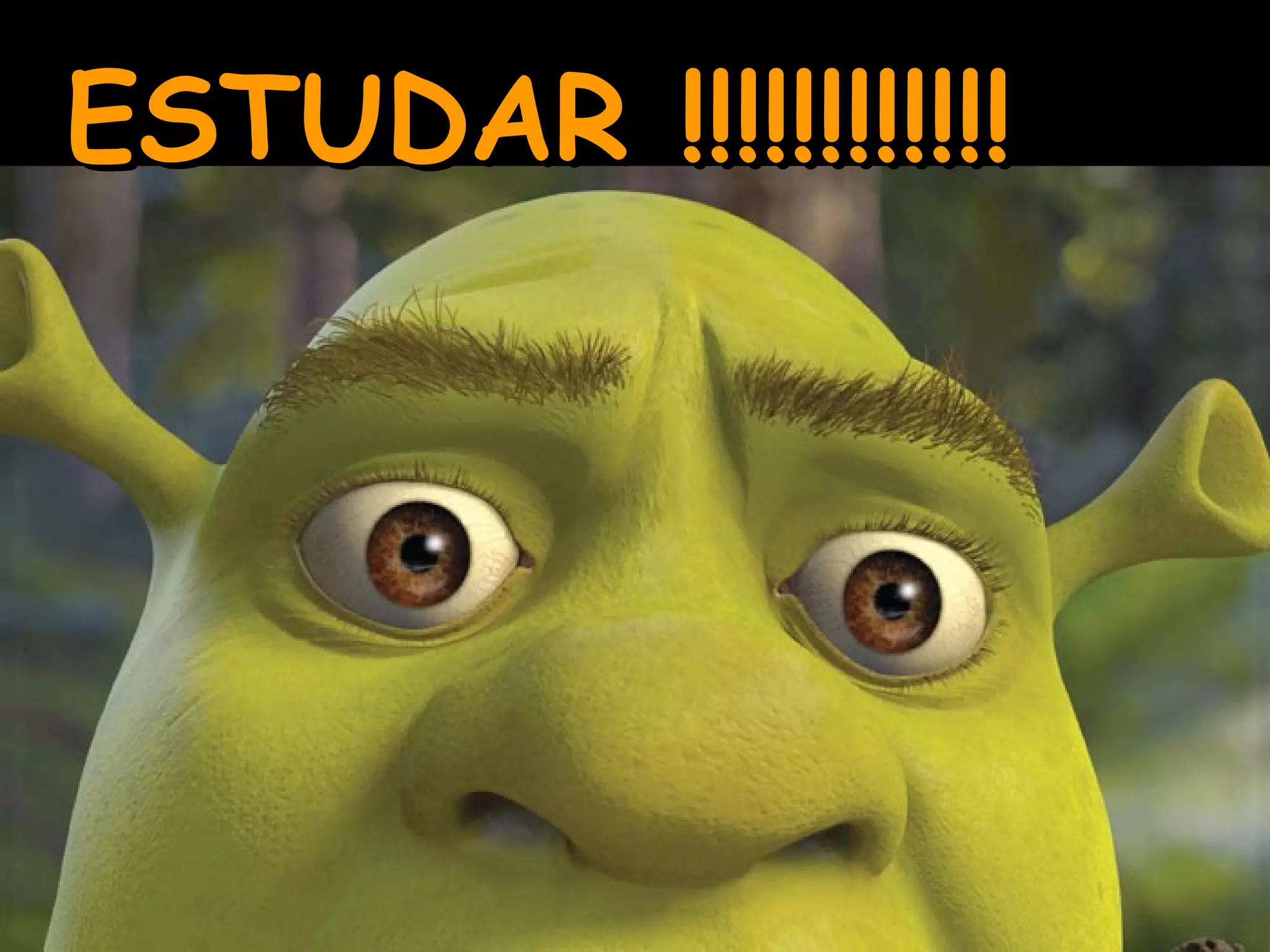 ESTUDAR !!!!!!!!!!!!
