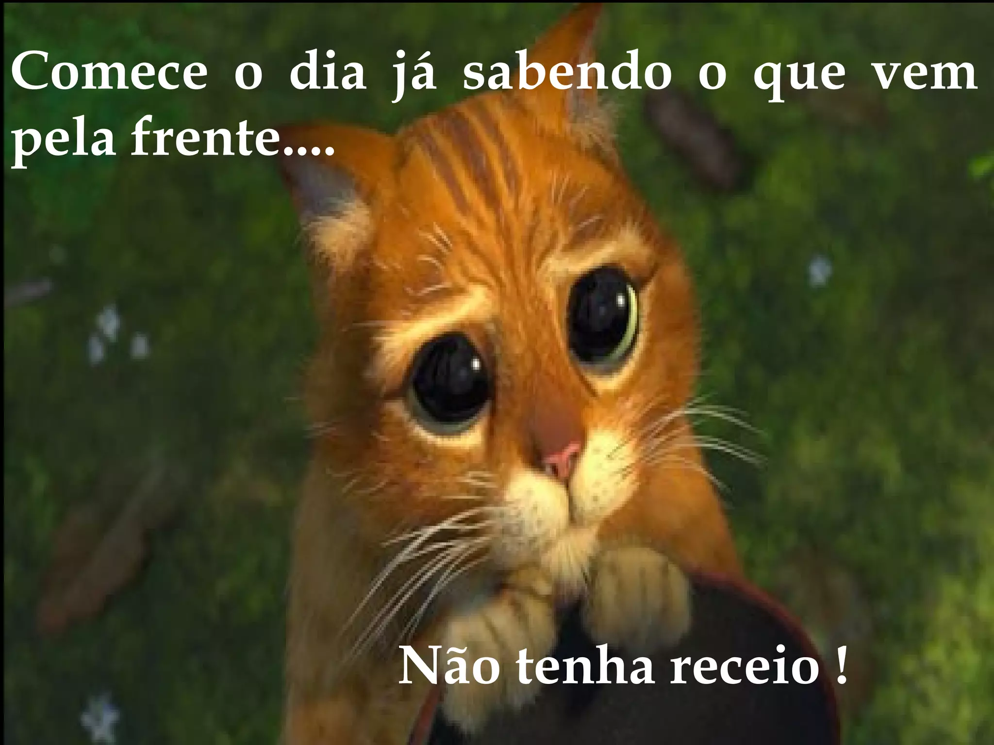 Comece o dia já sabendo o que vem
pela frente....
Não tenha receio !