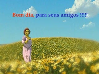 Bom dia, para seus amigos !!!!!
 