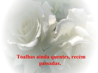 Toalhas ainda quentes, recém passadas.   