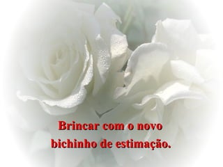 Brincar com o novo  bichinho de estimação.   
