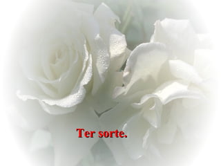Ter sorte.   