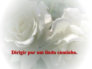 Dirigir por um lindo caminho.   
