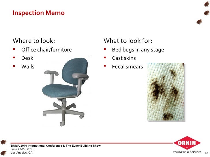 Bed Bugs Office Buildings Bed Bugs Office Buildings