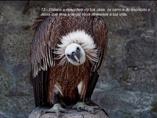 13.- Elimina a desordem da tua casa, do carro e do escritório e deixa que uma energia nova atravesse a tua vida. 