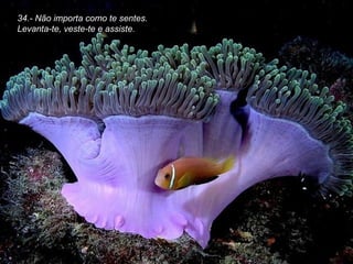 34.- Não importa como te sentes. Levanta-te, veste-te e assiste. 