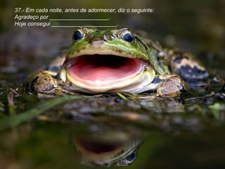 37.- Em cada noite, antes de adormecer, diz o seguinte: Agradeço por ___________________. Hoje consegui _____________________.  