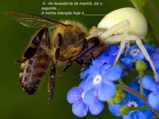   4.- Ao levantar-te de manhã, diz o seguinte… A minha intenção hoje é______________.   