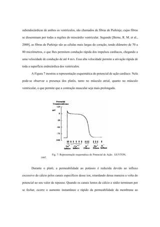 subendocárdicas de ambos os ventrículos, são chamados de fibras de Purkinje, cujas fibras

se disseminam por todas a regiões do miocárdio ventricular. Segundo [Berne, R. M. et al.,

2000], as fibras de Purkinje são as células mais largas do coração, tendo diâmetro de 70 a

80 micrômetros, o que lhes permitem condução rápida dos impulsos cardíacos, chegando a

uma velocidade de condução de até 4 m/s. Essa alta velocidade permite a ativação rápida de

toda a superfície endocárdica dos ventrículos.

       A Figura 7 mostras a representação esquemática do potencial de ação cardíaco. Nela

pode-se observar a presença dos platôs, tanto no músculo atrial, quanto no músculo

ventricular, o que permite que a contração muscular seja mais prolongada.




                       Fig. 7: Representação esquemática do Potencial de Ação. GUYTON,
              1997.



       Durante o platô, a permeabilidade ao potássio é reduzida devido ao influxo

excessivo do cálcio pelos canais específicos desse íon, retardando dessa maneira a volta do

potencial ao seu valor de repouso. Quando os canais lentos de cálcio e sódio terminam por

se fechar, ocorre o aumento instantâneo e rápido da permeabilidade da membrana ao
 