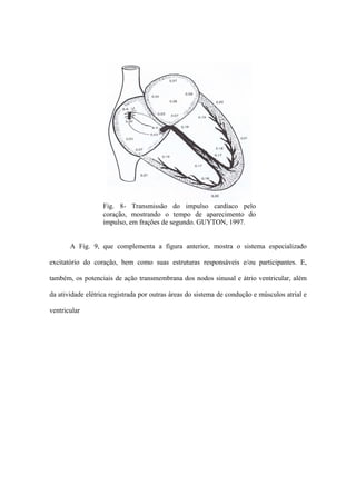 Fig. 8- Transmissão do impulso cardíaco pelo
                   coração, mostrando o tempo de aparecimento do
                   impulso, em frações de segundo. GUYTON, 1997.


       A Fig. 9, que complementa a figura anterior, mostra o sistema especializado

excitatório do coração, bem como suas estruturas responsáveis e/ou participantes. E,

também, os potenciais de ação transmembrana dos nodos sinusal e átrio ventricular, além

da atividade elétrica registrada por outras áreas do sistema de condução e músculos atrial e

ventricular
 