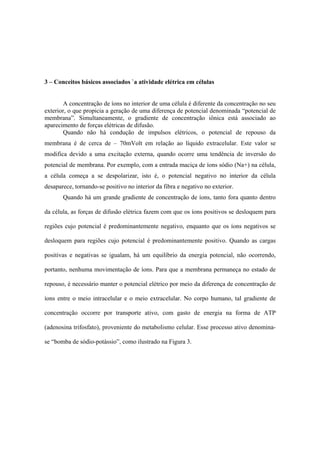 3 – Conceitos básicos associados `a atividade elétrica em células


        A concentração de íons no interior de uma célula é diferente da concentração no seu
exterior, o que propicia a geração de uma diferença de potencial denominada “potencial de
membrana”. Simultaneamente, o gradiente de concentração iônica está associado ao
aparecimento de forças elétricas de difusão.
        Quando não há condução de impulsos elétricos, o potencial de repouso da
membrana é de cerca de – 70mVolt em relação ao líquido extracelular. Este valor se
modifica devido a uma excitação externa, quando ocorre uma tendência de inversão do
potencial de membrana. Por exemplo, com a entrada maciça de íons sódio (Na+) na célula,
a célula começa a se despolarizar, isto é, o potencial negativo no interior da célula
desaparece, tornando-se positivo no interior da fibra e negativo no exterior.
       Quando há um grande gradiente de concentração de íons, tanto fora quanto dentro

da célula, as forças de difusão elétrica fazem com que os íons positivos se desloquem para

regiões cujo potencial é predominantemente negativo, enquanto que os íons negativos se

desloquem para regiões cujo potencial é predominantemente positivo. Quando as cargas

positivas e negativas se igualam, há um equilíbrio da energia potencial, não ocorrendo,

portanto, nenhuma movimentação de íons. Para que a membrana permaneça no estado de

repouso, é necessário manter o potencial elétrico por meio da diferença de concentração de

íons entre o meio intracelular e o meio extracelular. No corpo humano, tal gradiente de

concentração occorre por transporte ativo, com gasto de energia na forma de ATP

(adenosina trifosfato), proveniente do metabolismo celular. Esse processo ativo denomina-

se “bomba de sódio-potássio”, como ilustrado na Figura 3.
 