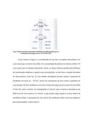 Fig. 3: Representação esquemática da Bomba de sódio-potássio para a
           realização do transporte ativo. GUYTON, 1997.



       Como mostra a Figura 3, a concentração de íons Na+ no líquido extracelular é 4,5

vezes maior que no interior da celular. Já a concentração de potássio no interior celular é 35

vezes maior que no líquido extracelular. Assim, as forças elétricas geradas pela diferença

de concentração tenderiam a igualar essas concentrações, se não fosse a atuação da bomba

de sódio-potássio (vide Fig. 4). Essa bomba eletrogênica permite manter o potencial de

membrana em torno de – 70 mV, através do carreamento de íons contra o gradiente de

concentração. De fato, bombeia-se um maior número de cargas positivas para fora da célula

(3 íons Na+ para o exterior, em contrapartida a 2 íons K+ para o interior), deixando-se um

déficit real de íons positivos no interior, o que produz carga negativa na face interna da

membrana celular. A passagem dos íons através da membrana celular ocorre por pequenos

poros denominados “canais iônicos”.
 