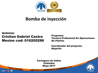 Autores:
Cristian Gabriel Castro
Mesino cod: 016200296
Bomba de inyección
Programa:
Técnica Profesional En Operaciones
De Plantas
Coordinador del proyecto:
Mayerlis
Cartagena de Indias
Colombia
Mayo 2017
 