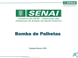 Bomba de Palhetas
Campos Novos, 2019
 