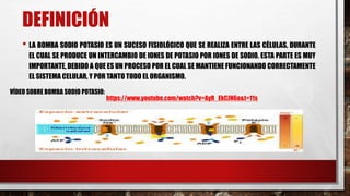 DEFINICIÓN
• LA BOMBA SODIO POTASIO ES UN SUCESO FISIOLÓGICO QUE SE REALIZA ENTRE LAS CÉLULAS, DURANTE
EL CUAL SE PRODUCE UN INTERCAMBIO DE IONES DE POTASIO POR IONES DE SODIO. ESTA PARTE ES MUY
IMPORTANTE, DEBIDO A QUE ES UN PROCESO POR EL CUAL SE MANTIENE FUNCIONANDO CORRECTAMENTE
EL SISTEMA CELULAR, Y POR TANTO TODO EL ORGANISMO.
https://www.youtube.com/watch?v=AyR_EkCJN6o&t=11s
VÍDEO SOBRE BOMBA SODIO POTASIO:
 