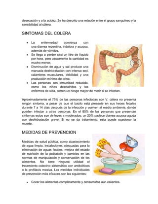 desecación y a la acidez. Se ha descrito una relación entre el grupo sanguíneo y la
sensibilidad al cólera.

SINTOMAS DEL COLERA
La
enfermedad
comienza
con
una diarrea repentina, indolora y acuosa,
además de vómitos.
Se llega a perder casi un litro de líquido
por hora, pero usualmente la cantidad es
mucho menor.
Disminución de agua y sal produce una
marcada deshidratación con intensa sed,
calambres musculares, debilidad y una
producción mínima de orina.
Las personas con inmunidad reducida,
como los niños desnutridos y los
enfermos de sida, corren un riesgo mayor de morir si se infectan.
Aproximadamente el 75% de las personas infectadas con V. cólera no presenta
ningún síntoma, a pesar de que el bacilo está presente en sus heces fecales
durante 7 a 14 días después de la infección y vuelven al medio ambiente, donde
pueden infectar a otras personas. En el 80% de las personas que presentan
síntomas estos son de leves a moderados; un 20% padece diarrea acuosa aguda
con deshidratación grave. Si no se da tratamiento, esta puede ocasionar la
muerte.

MEDIDAS DE PREVENCION
Medidas de salud pública, como abastecimiento
de agua limpia, instalaciones adecuadas para la
eliminación de aguas fecales, mejora del estado
de nutrición de la población y cambios en las
normas de manipulación y conservación de los
alimentos. No tiene ninguna utilidad el
tratamiento colectivo sistemático con antibióticos
o la profilaxis masiva. Las medidas individuales
de prevención más eficaces son las siguientes:
Cocer los alimentos completamente y consumirlos aún calientes.

 