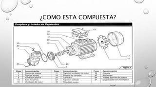 ¿COMO ESTA COMPUESTA?
 