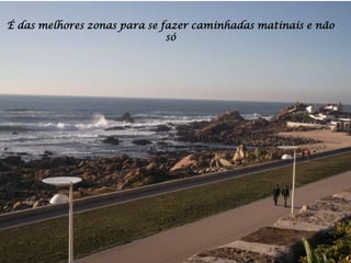 É das melhores zonas para se fazer caminhadas matinais e não
                              só
 