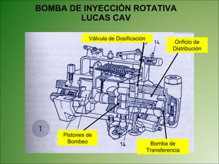 BOMBA DE INYECCIÓN ROTATIVA LUCAS CAV Bomba de Transferencia Orificio de Distribución Pistones de Bombeo Válvula de Dosificación 