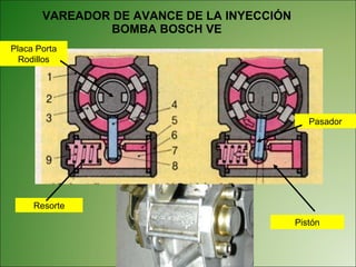 VAREADOR DE AVANCE DE LA INYECCIÓN BOMBA BOSCH VE Pistón Resorte Placa Porta Rodillos Pasador 
