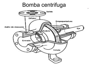 Bomba centrifuga  