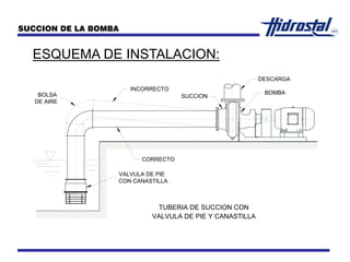 ESQUEMA DE INSTALACION:
SUCCION DE LA BOMBA
VALVULA DE PIE Y CANASTILLA
TUBERIA DE SUCCION CON
VALVULA DE PIE
CON CANASTILLA
CORRECTO
BOMBA
DESCARGA
SUCCION
INCORRECTO
BOLSA
DE AIRE
 