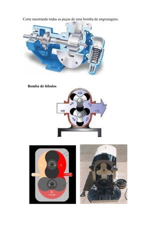 Corte mostrando todas as peças de uma bomba de engrenagens.
Bomba de lóbulos
 