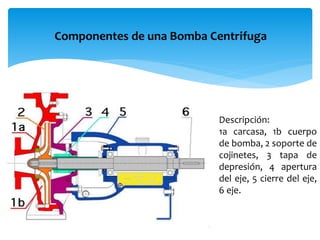 Componentes de una Bomba Centrifuga
Descripción:
1a carcasa, 1b cuerpo
de bomba, 2 soporte de
cojinetes, 3 tapa de
depresión, 4 apertura
del eje, 5 cierre del eje,
6 eje.
 
