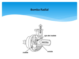 Bomba Radial
 