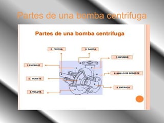 Partes de una bomba centrifuga
 