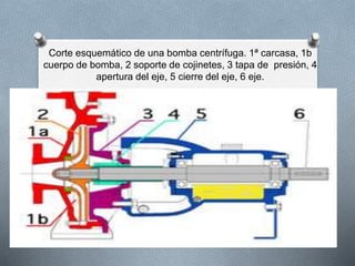 Corte esquemático de una bomba centrífuga. 1ª carcasa, 1b
cuerpo de bomba, 2 soporte de cojinetes, 3 tapa de presión, 4
apertura del eje, 5 cierre del eje, 6 eje.
 