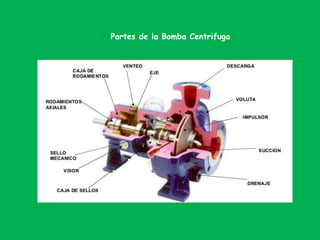 Partes de la Bomba Centrifuga
 