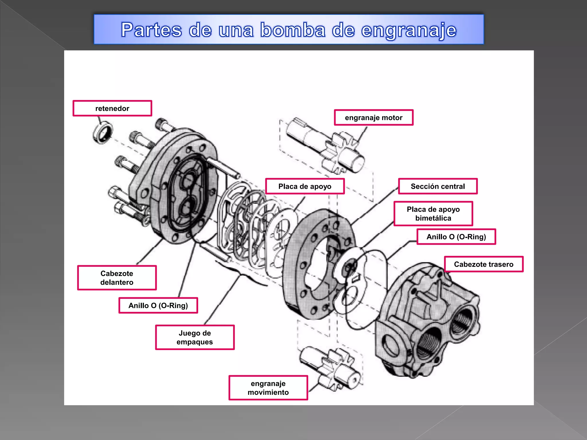 Perilla De Cambio Universal De Fibra De Carbono Real Con Rayas Rojas, Rosca M8/M10/M12