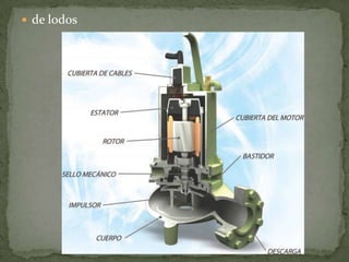  de lodos

 