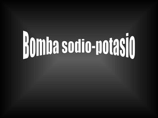 Bomba sodio-potasio 