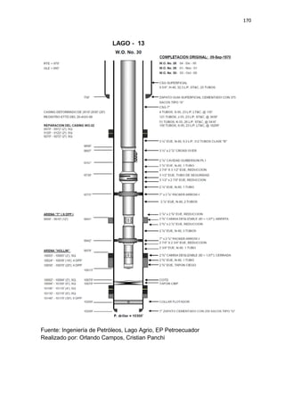 170
Fuente: Ingeniería de Petróleos, Lago Agrio, EP Petroecuador
Realizado por: Orlando Campos, Cristian Panchi
 