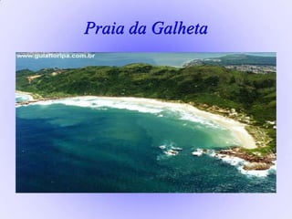Praia da Galheta