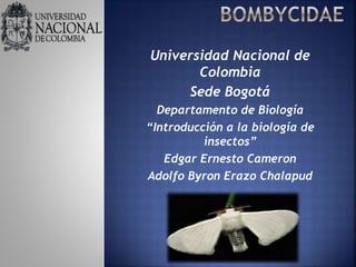 Universidad Nacional de
Colombia
Sede Bogotá
Departamento de Biología
“Introducción a la biología de
insectos”
Edgar Ernesto Cameron
Adolfo Byron Erazo Chalapud
 