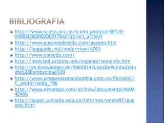 http://www.scielo.org.co/scielo.php?pid=S0120-
04882006000200017&script=sci_arttext
 http://www.gusanosdeseda.com/gusano.htm
 http://bugguide.net/node/view/4763
 http://www.corseda.com/
 http://insected.arizona.edu/espanol/sedainfo.htm
 http://es.knowledger.de/9465814/ListaDePolillasDeIn
dia%28Bombycidae%29
 http://www.artesaniasdecolombia.com.co/PortalAC/
C_sector/seda_196
 http://www.eltiempo.com/archivo/documento/MAM-
42496
 http://aupec.univalle.edu.co/informes/enero97/gus
ano.html
 