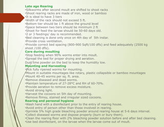 Bombyx mori: Life Cycle, Voltinism, Morphology, Silk Gland and Rearing ...