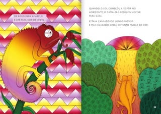 Bom dia todas as cores 