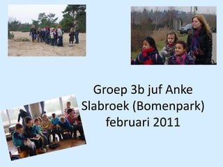 Groep 3b juf AnkeSlabroek (Bomenpark)februari 2011 
