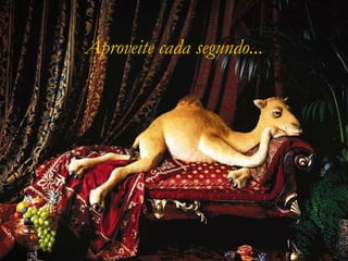Aproveite cada segundo...

 