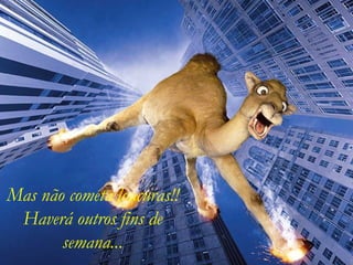 Mas não cometa loucuras!!
Haverá outros fins de
semana...

 