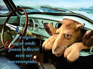 Vá a algum
lugar onde
possa reflectir
sem ser
interrompido...

 