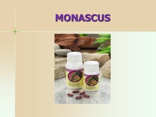 MONASCUS
 